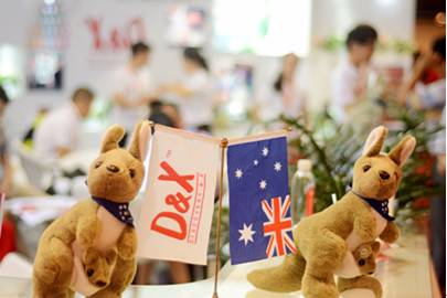 D&X޵ġʽй
