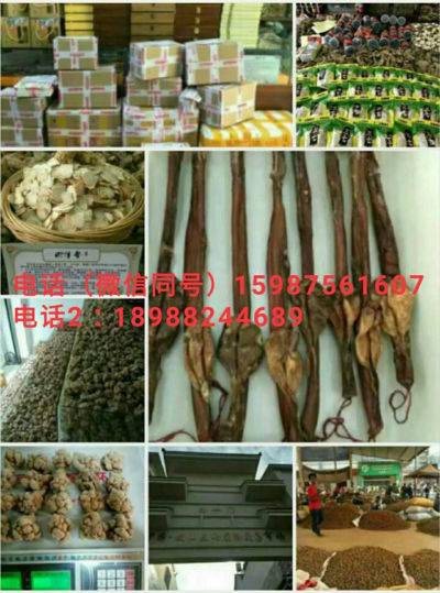 云南德宏州铁皮石斛|你不知道的秘密!【大揭秘】