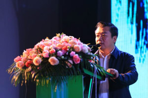 2016中国·三亚时尚健康产业峰会星耀盛典 始创未来