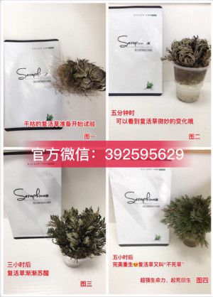 �������Ȼ��ղ�ˮ��Ĥ����Ǯ��������������ʲô���𣿹ٷ����۱��Ƕ��٣�