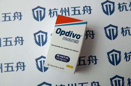 ʩPD1Ǯ