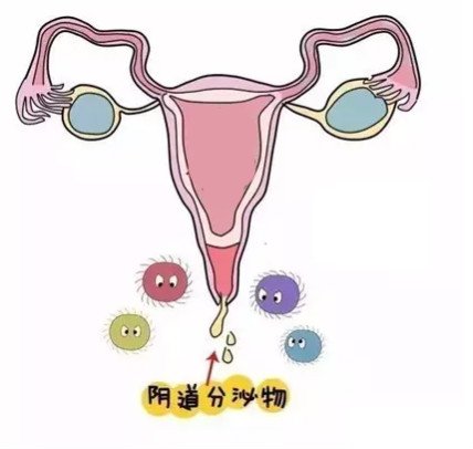 ˽ֽж