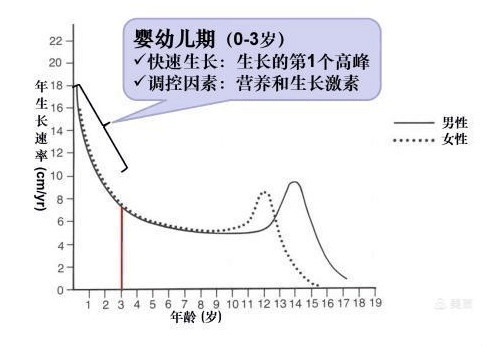 南阳看生长发育比较好的医生?