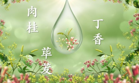 榜上有名!丁桂儿脐贴荣登 “2020~2021年中国家庭常备药上榜品牌”