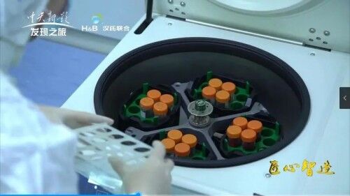 揭秘:为什么很多明星选择冻存免疫细胞?