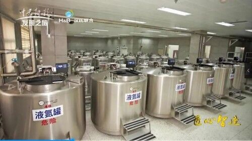 揭秘:为什么很多明星选择冻存免疫细胞?