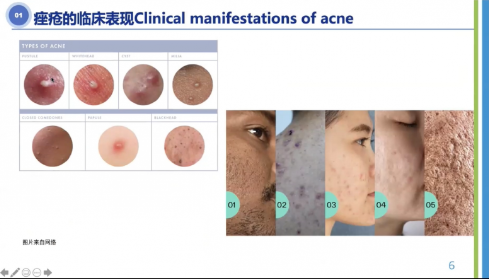 ����ҽѧ̽��������ʶѰ�������ֻ�ǡ������Ŷ�����ô��